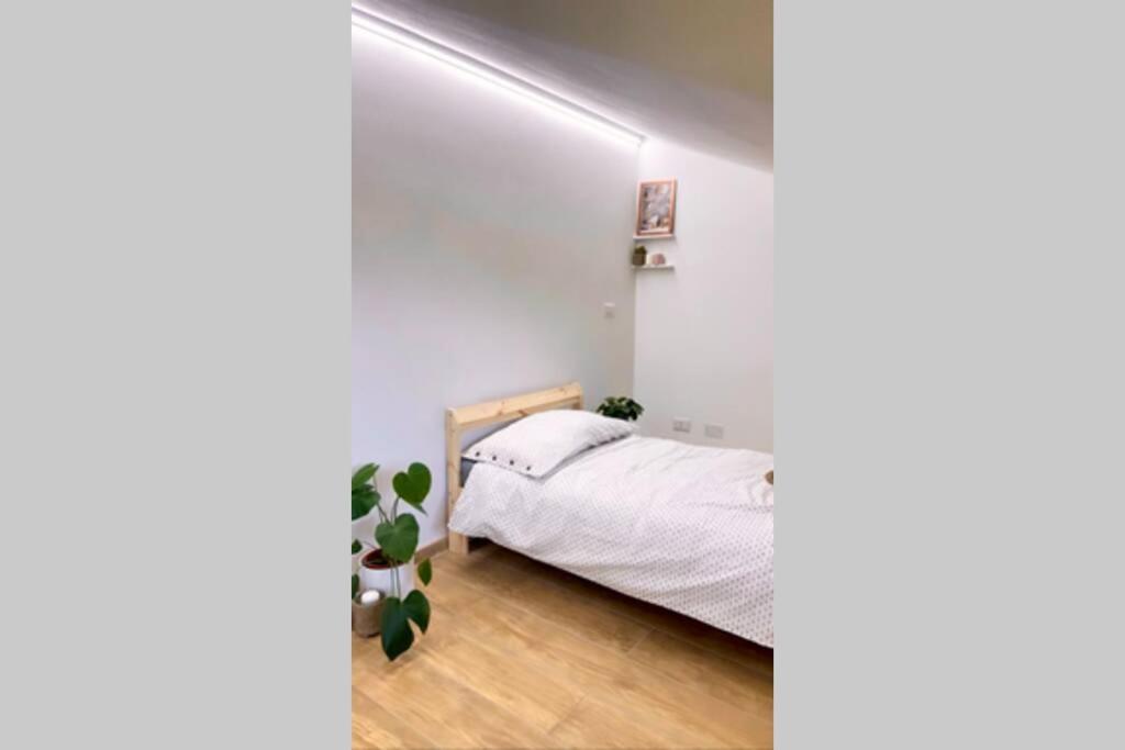 Apartmán La Casa Al Mare Di Luca Bellaria-Igea Marina Exteriér fotografie