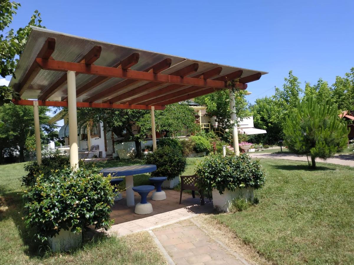 Apartmán La Casa Al Mare Di Luca Bellaria-Igea Marina Exteriér fotografie